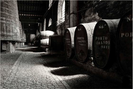 Cave de envelhecimento com barris de Vinho do Porto